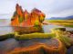 fly geyser nevada