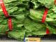 Wabak Salad Romaine