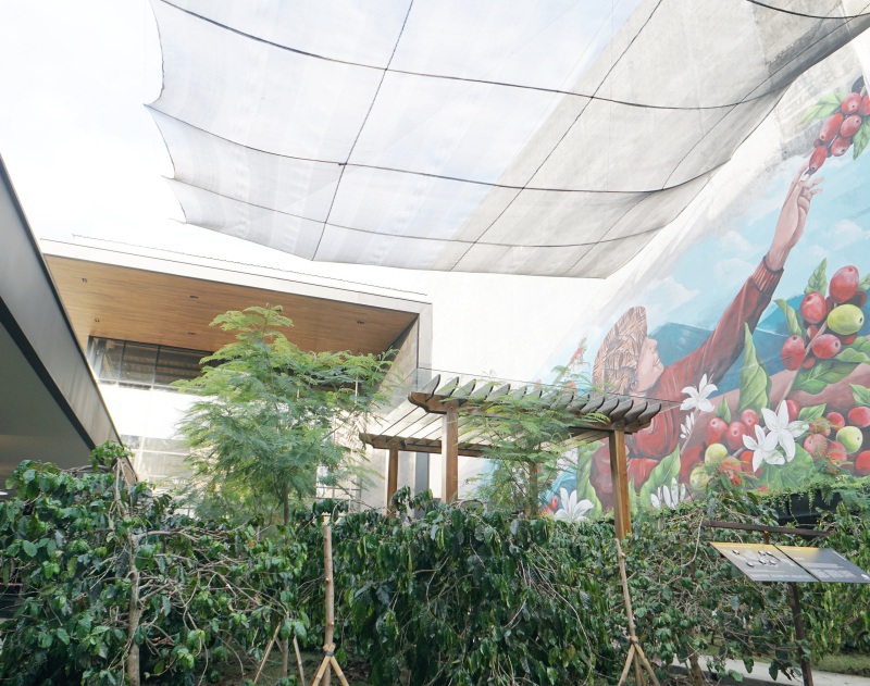 Starbucks terbesar Bali