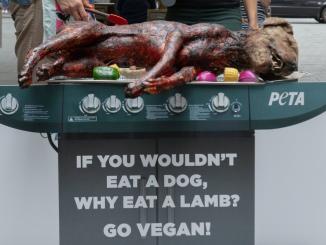 Vegan Panggang Anjing