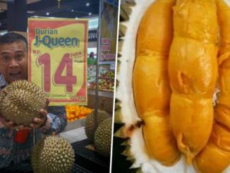 durian J-Queen