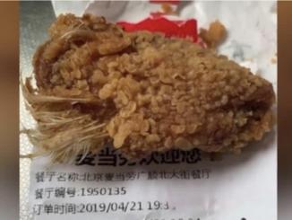 McD Kepak Ayam Ada Bulu