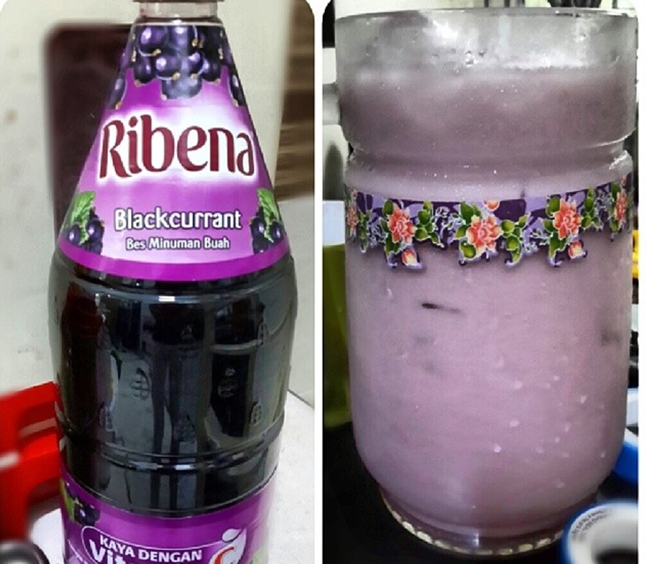 Aneka Ribena