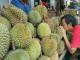 tip beli buah durian