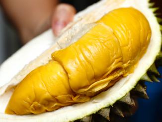 Minum Air Guna Pangsa Durian