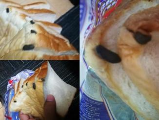 Roti Gardenia Ada Najis Tikus 10