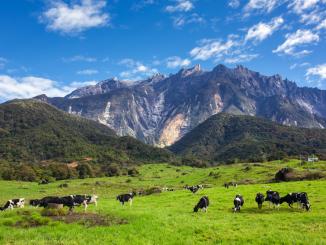 tip ke Kundasang 2