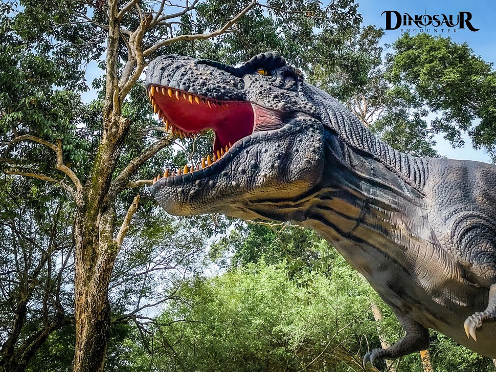 Foto Facebook @dinoencounter